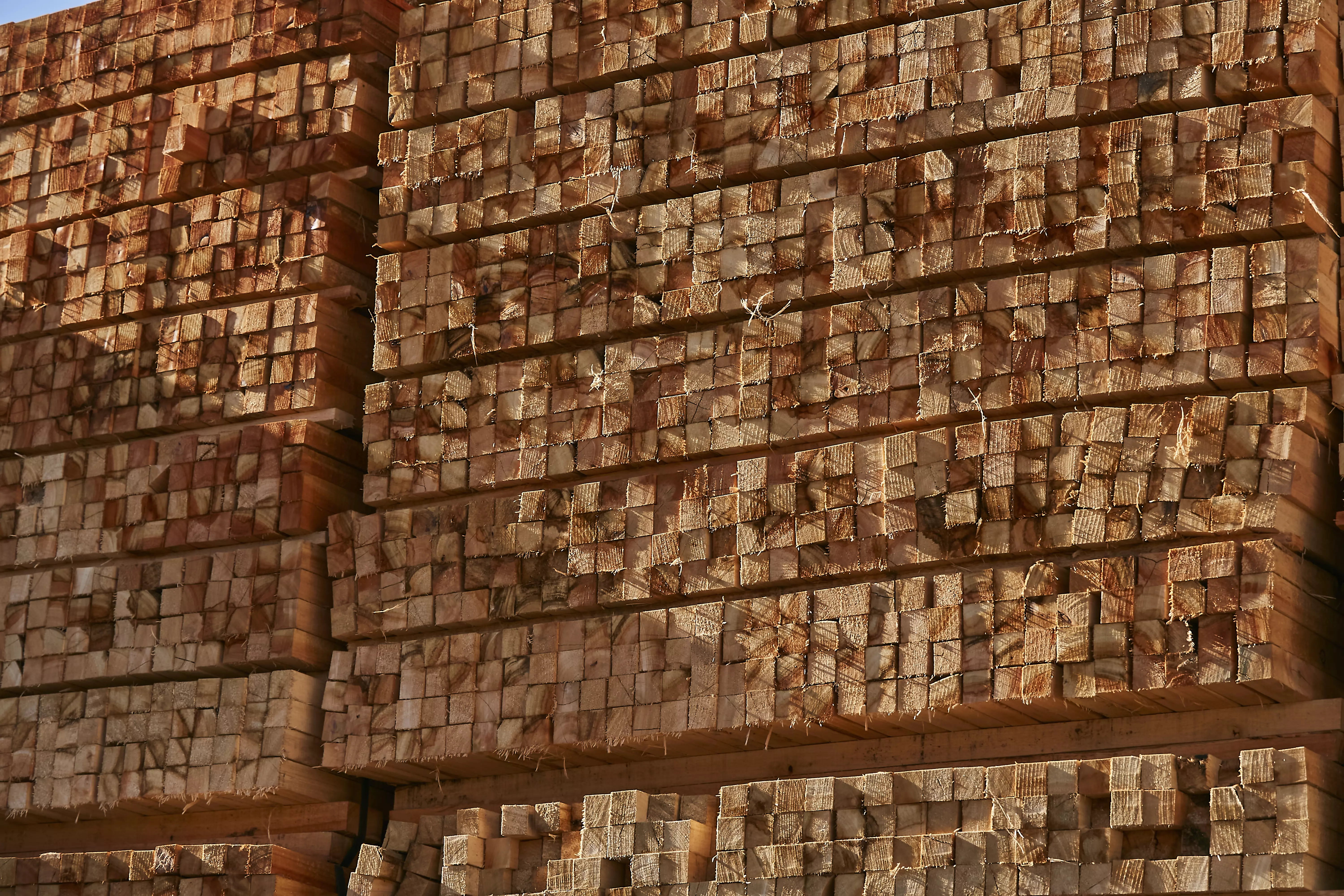 Pallets de madera